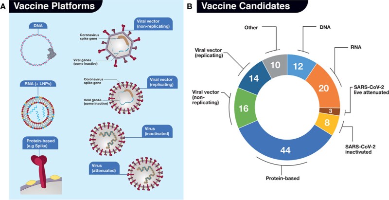 Vaccine from SARS-COV-2
