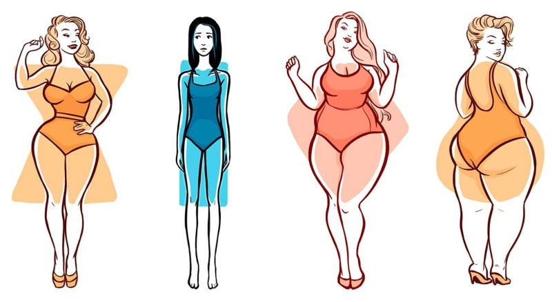 Forms of the female body