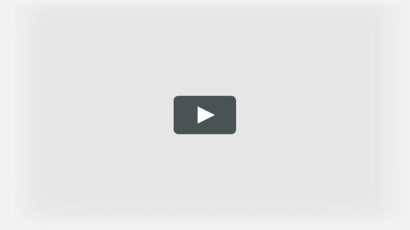 Dasha Kononovich secular lioness