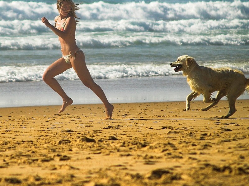Caricatures on the beach