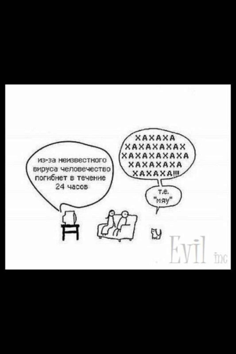 Ahahaha, that is, meow