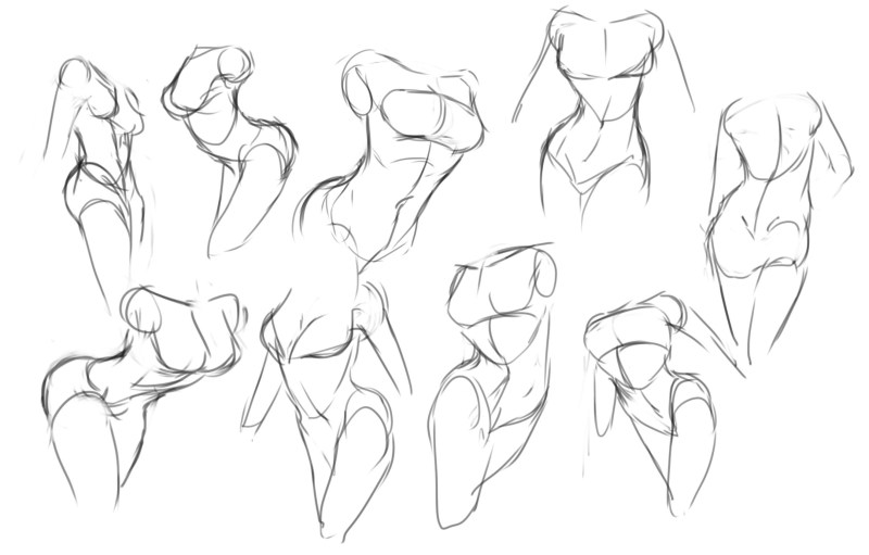 Female body for drawing