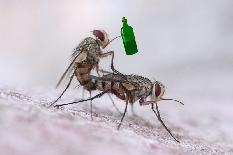 Huge dick Venoma art