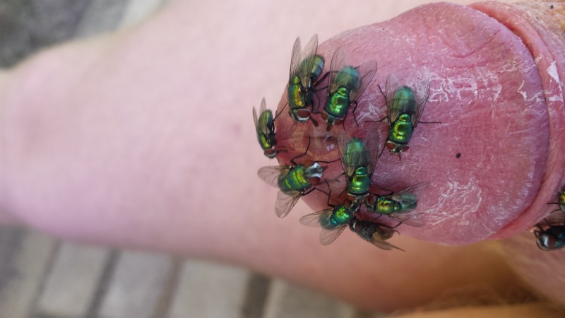 The girl saw a big dick