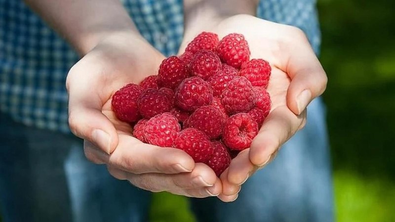 Rose Cooky Coaks Ran