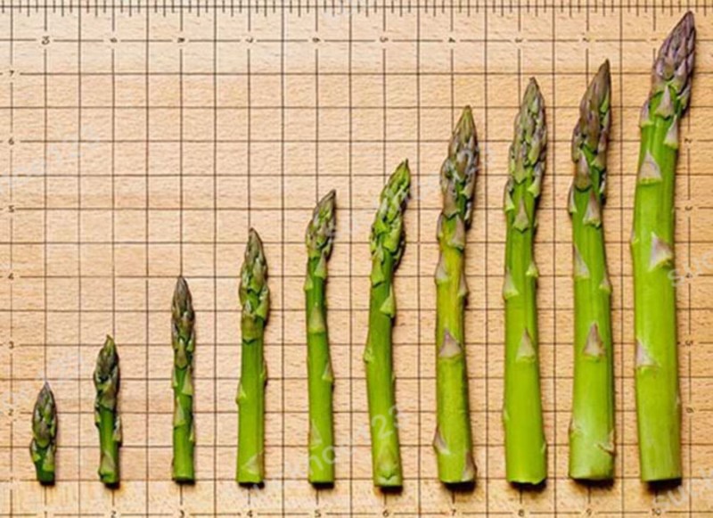 Meme with binoculars