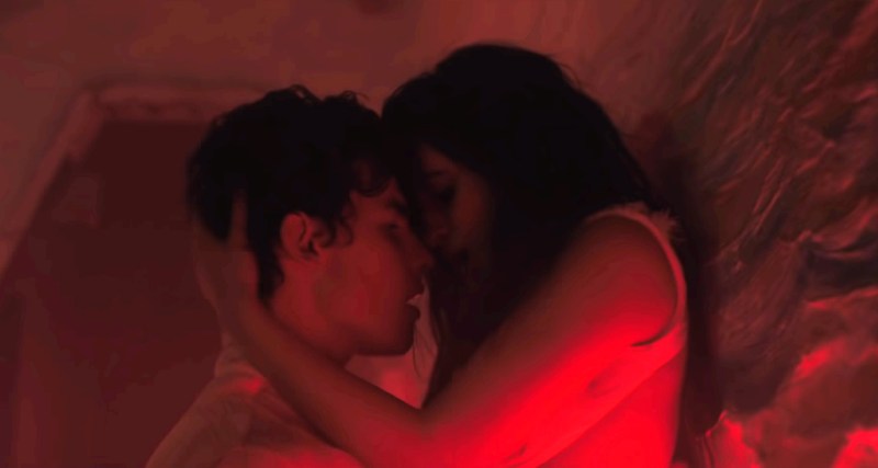 Camila Cableo and Sean Mendes Senorita