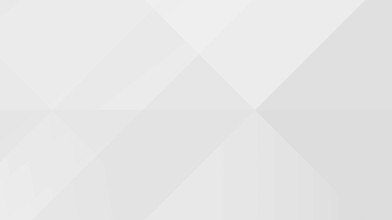 Camilla Mendes Bikini