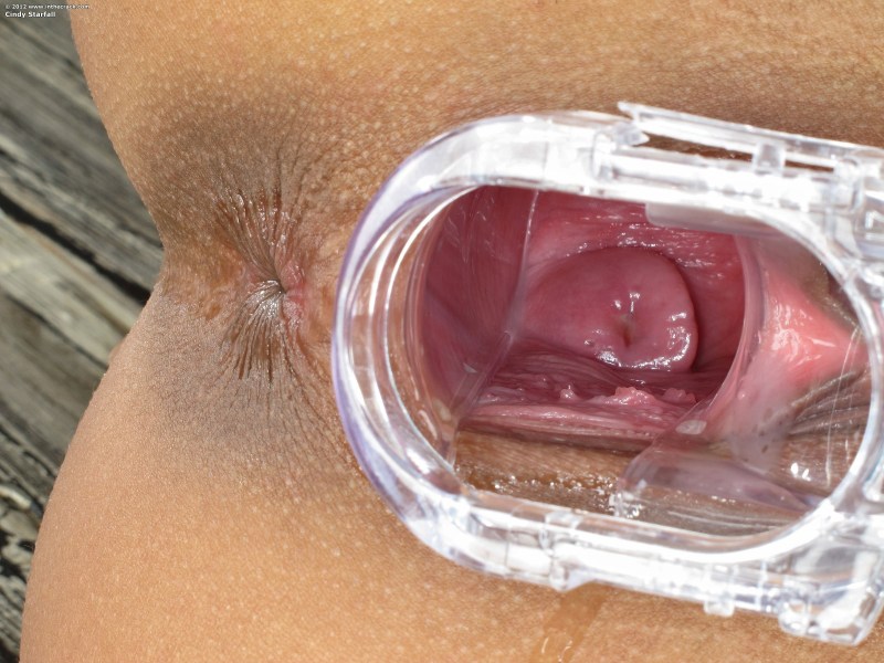 Vagina Completes Close -up