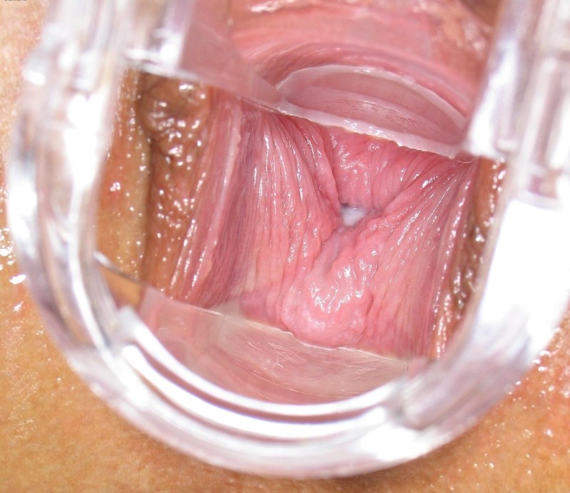 Women's vagina from the inside
