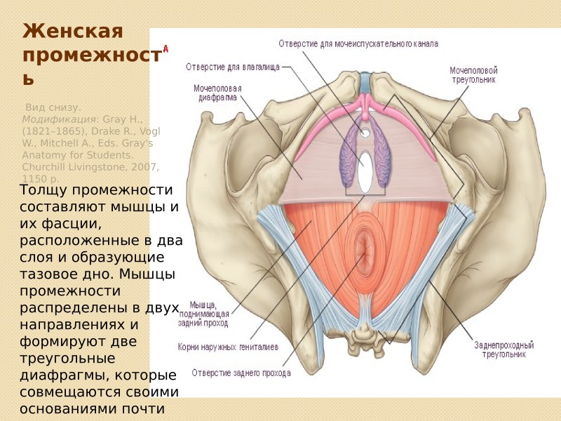 The structure of the point g