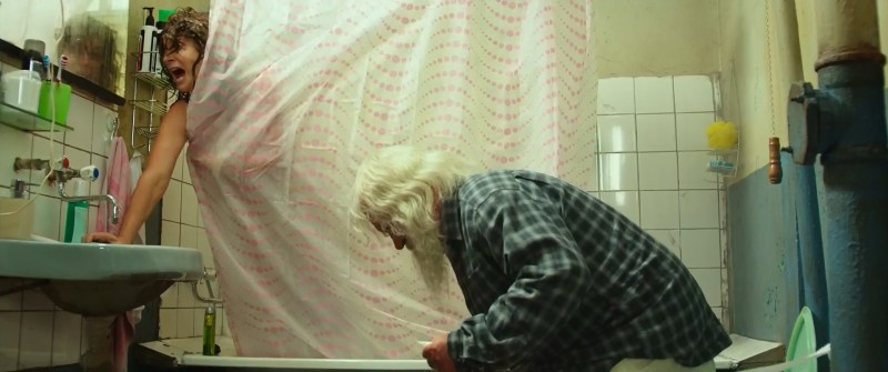 Laima Vaikule pornography