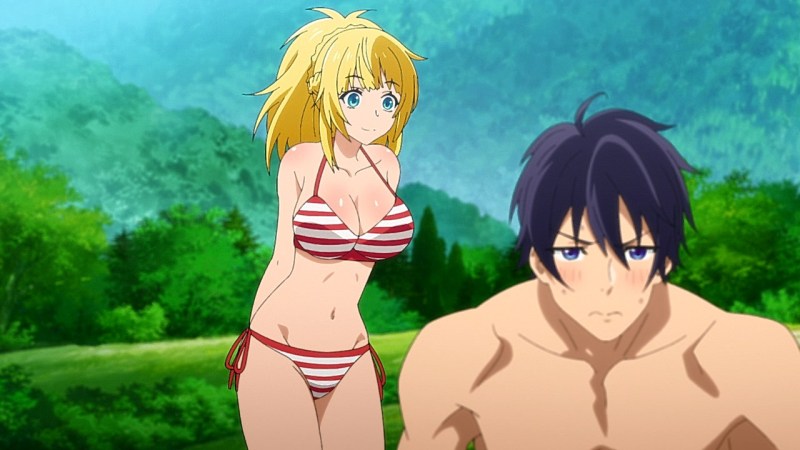 Shin No Nakama anime