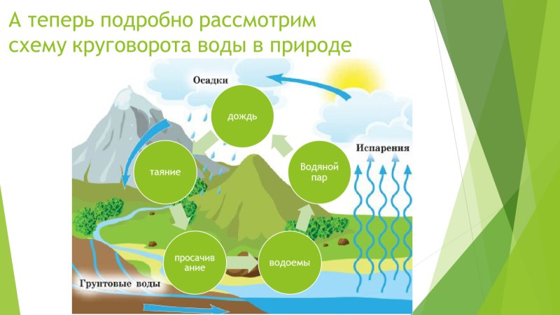 The process of the water cycle in nature Schemes
