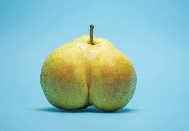 Marina (berezina) kosyakina renaissance