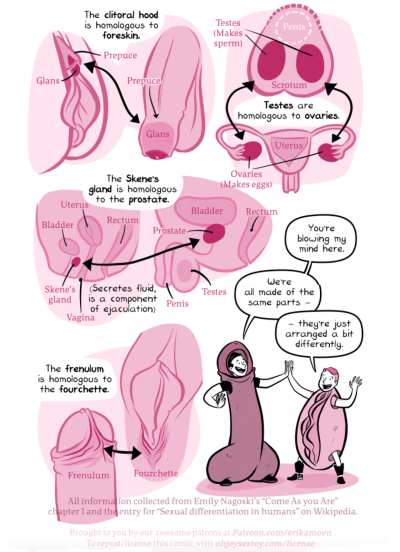 Huge clitoris and small cock