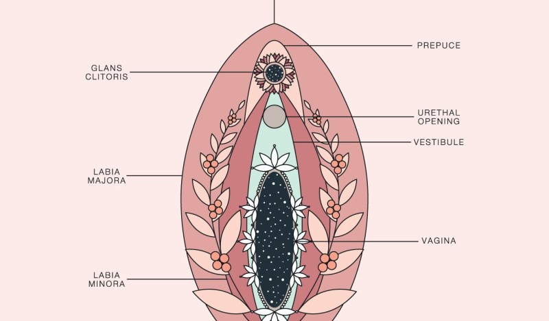 Giant female clitoris