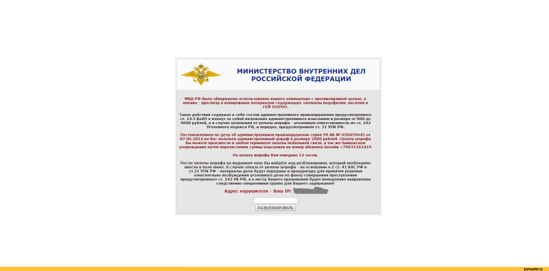 Camera Frame on Stream