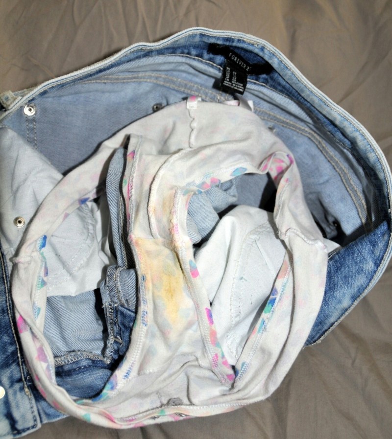 Fenec and arctic fox