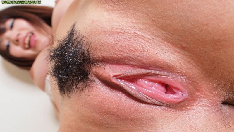 Female hairstyles on the pubis