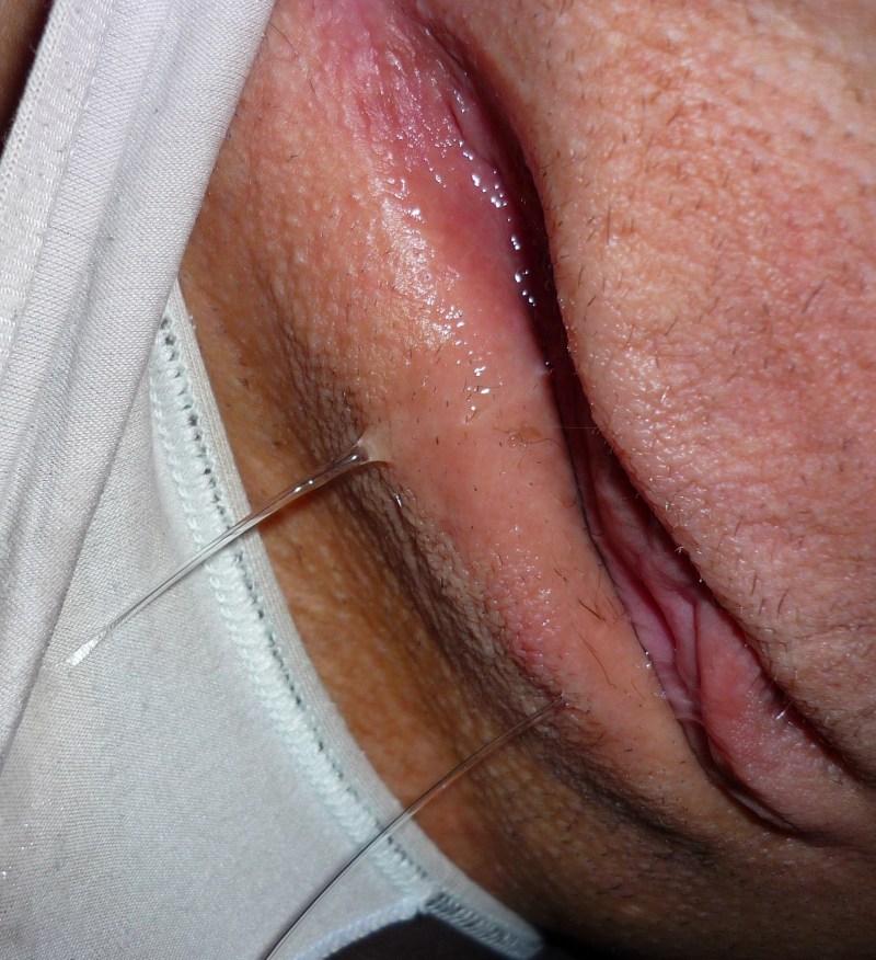 Close -up Panties Pussy Amateur