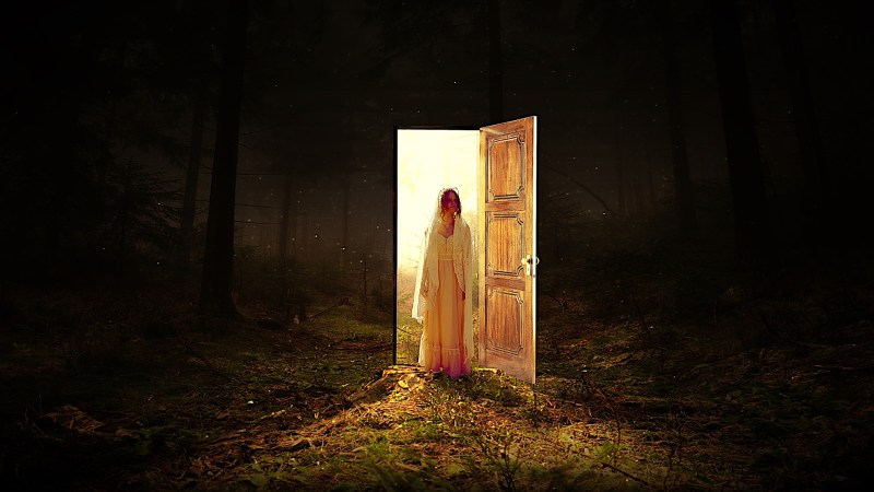 Dragons Crown Elf Art