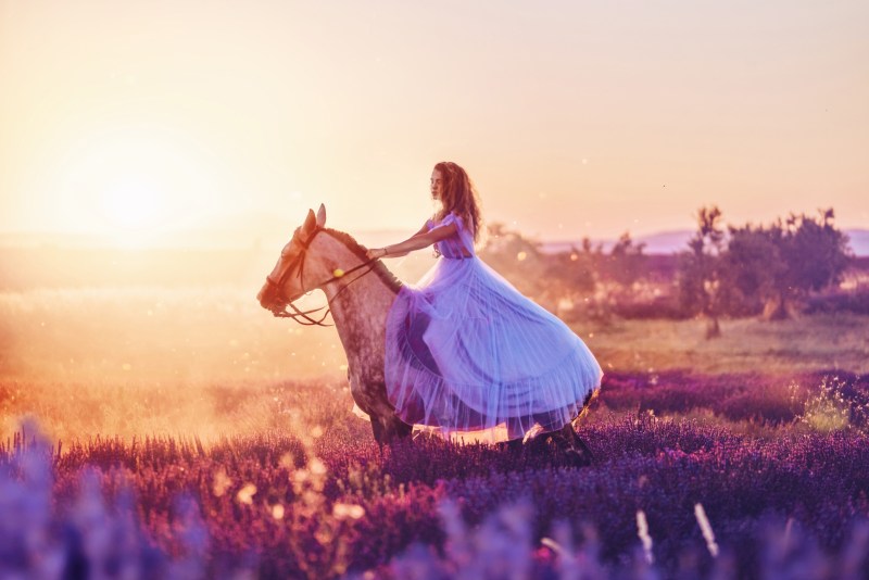 Girl on horseback in the field