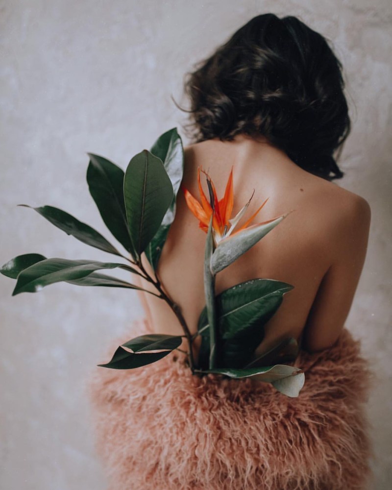 Solar Opposites series 2020