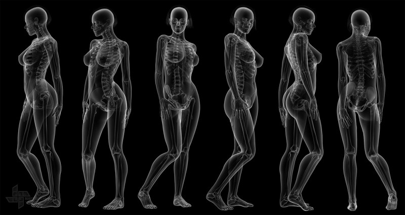The skeleton of the woman X -ray