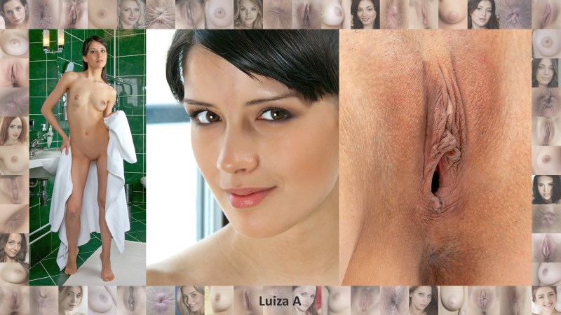 Faces and vaginas of pornses