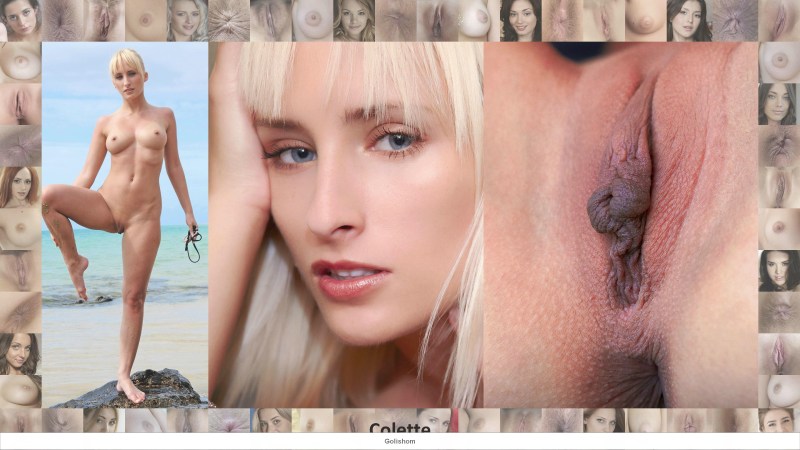 Faces and vaginas of pornses