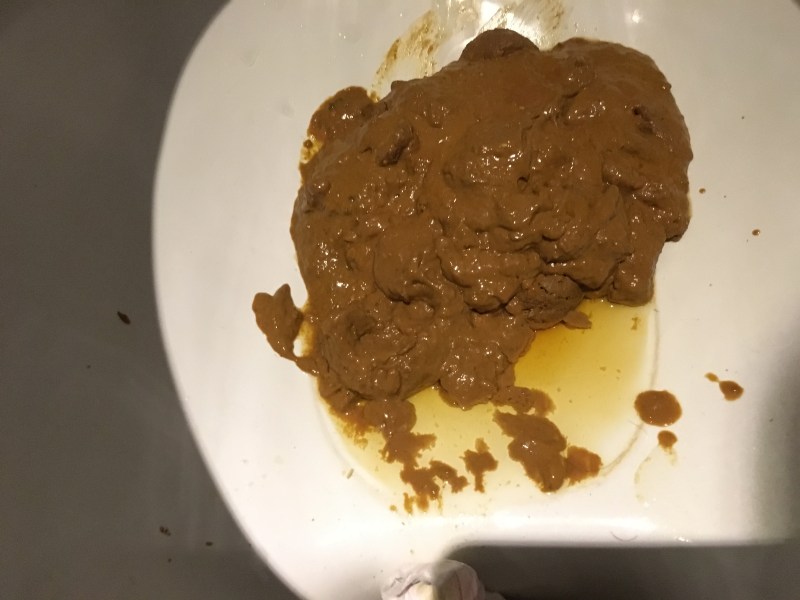 The girl licks the toilet