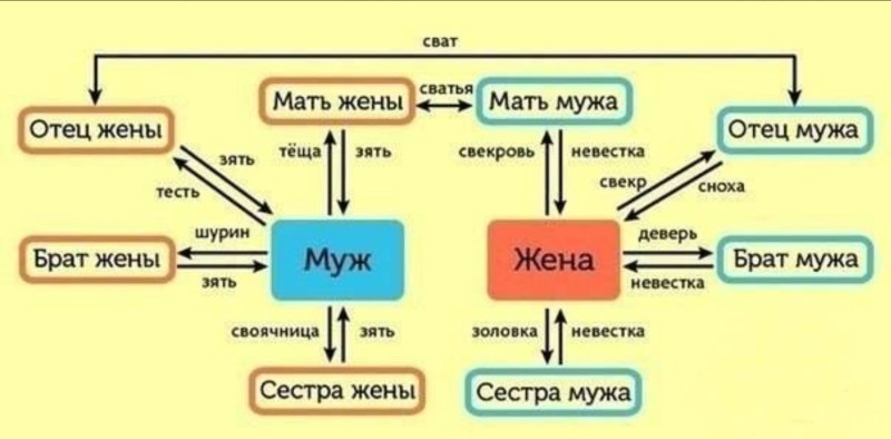 The resume of the programmer