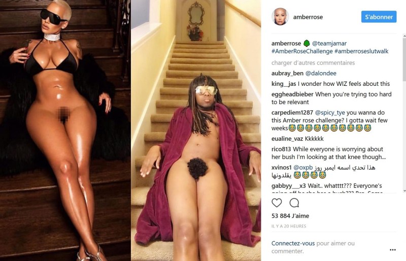 Amber Rose pornography