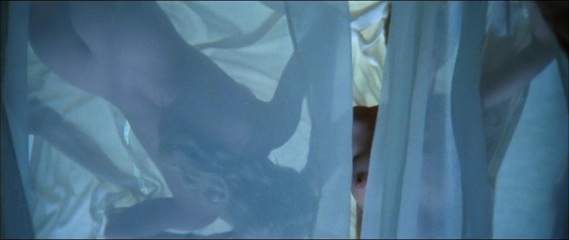 Sarandon Susan in Youth Ero