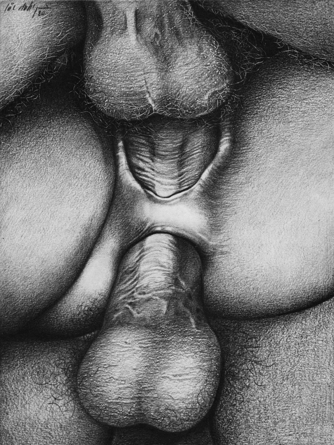 Pencil Drawings Of Sex - Sex Drawn with A Pencil (37 photos) - motherless porn pics