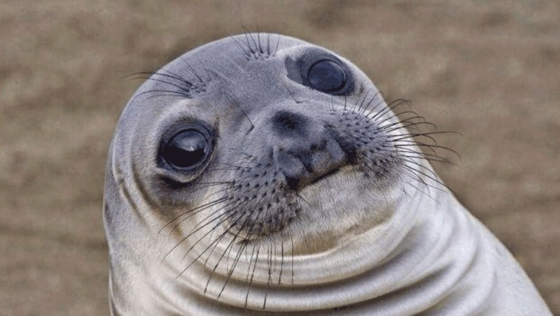 Christina Lisina Kris the