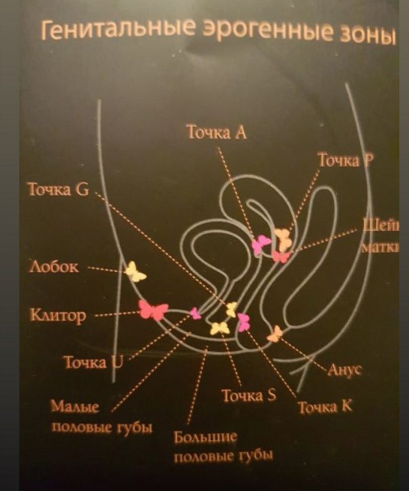 Erogenic points in women