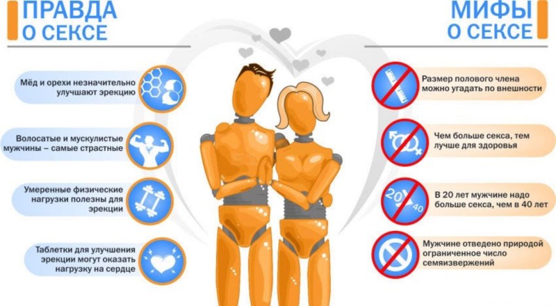 Interesting facts about the male reproductive system