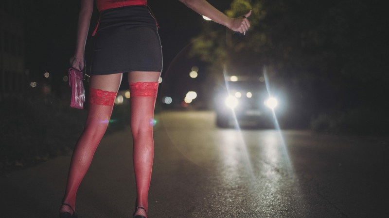 Night butterflies on the highway