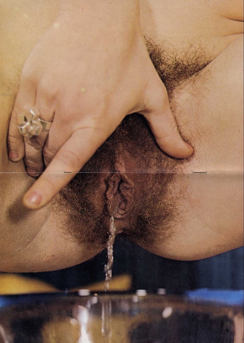 Vintage hairy pussies