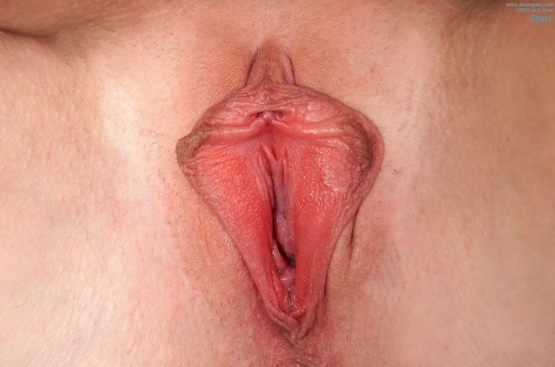 Women's vagina Labeled