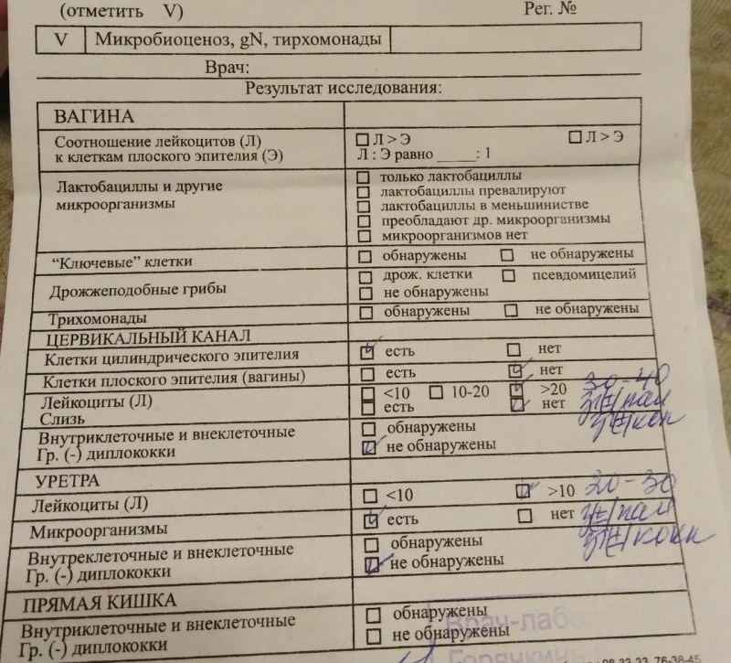 Read and Complete the Sentences