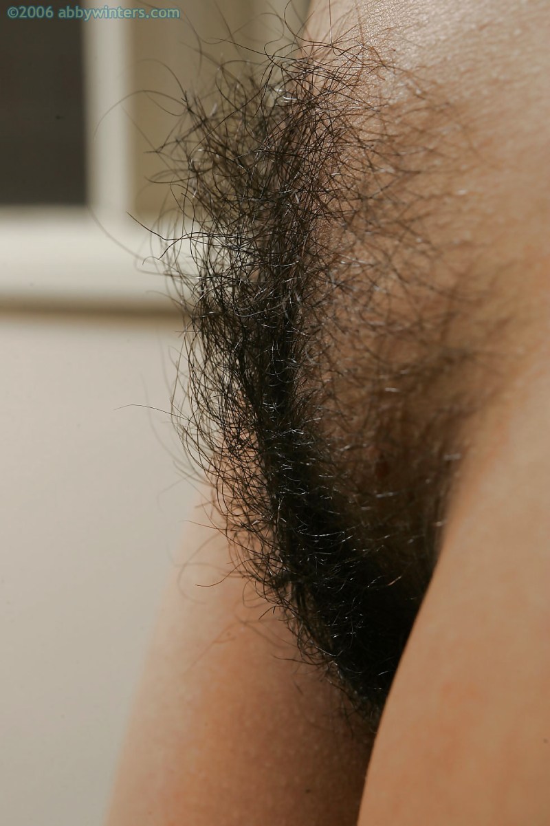 Angelfuns-Super-Bushy-Pubes-Pid photo