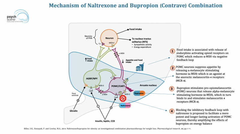 Water should be drunk while sitting