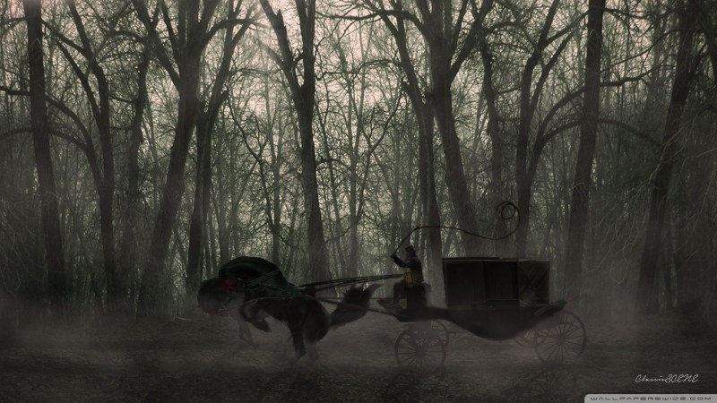 Carriage in the forest