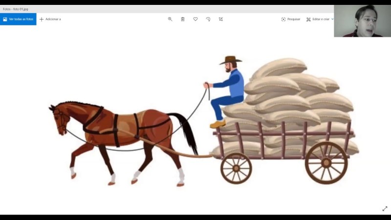 A horse with a body for children