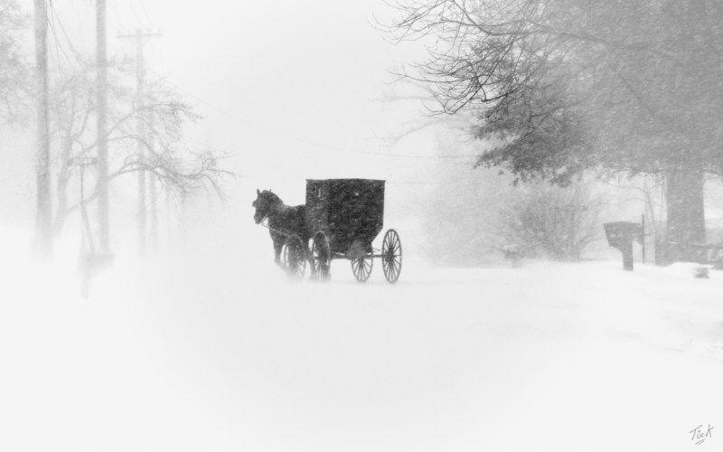 Wagon on the winter road