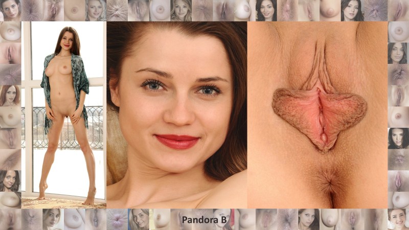 Vagins of different nationalities