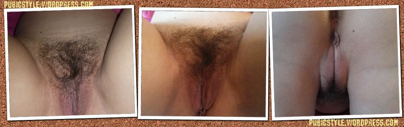 Female pubic hair